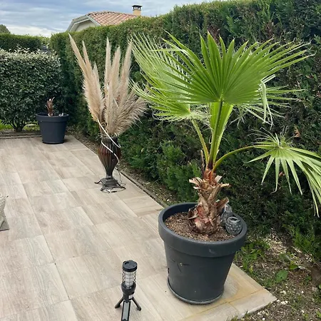Confort Sur Villa